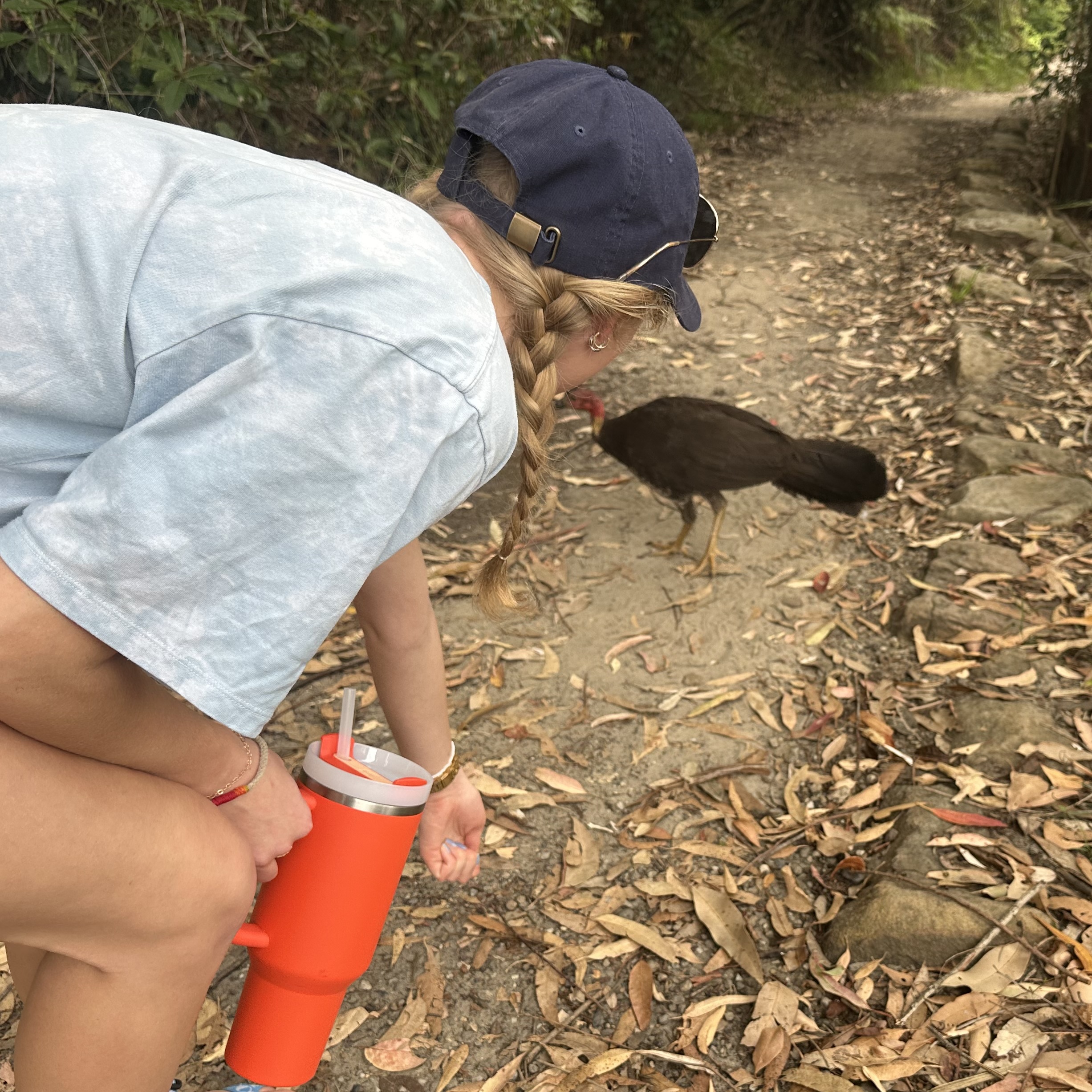 Josie and Bush Turkey